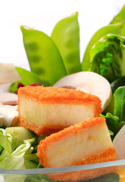 Green salad with fried cheese