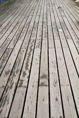 Planks of a bridge in close up with a seagull in the back