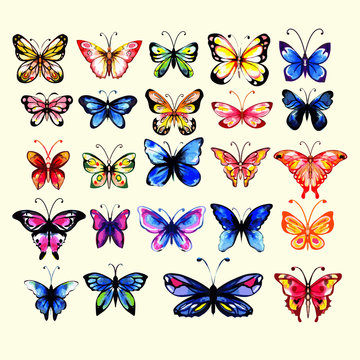 Watercolor butterflies set