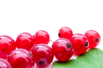 Rote Johannisbeeren Rispe mit Blatt
