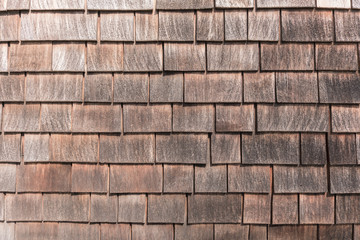 Fototapeta premium cedar roof