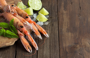Raw langoustine on ice with lime and basil