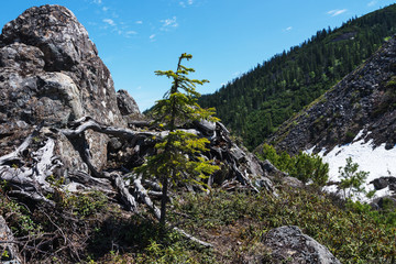 Gory Ridge  called Miao Chan Russian Far East.