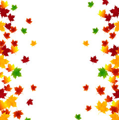 Obraz premium 紅葉 もみじ 背景