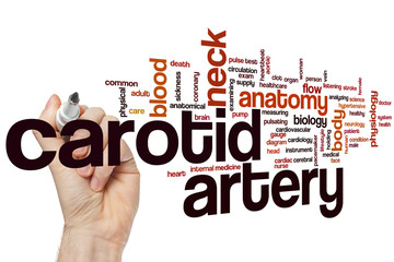 Carotid artery word cloud