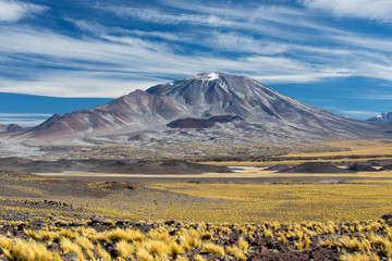 View of San Francisco Volcano/ A day time landscape shot of San Francisco Volcano with yellow grasses in the foreground. 