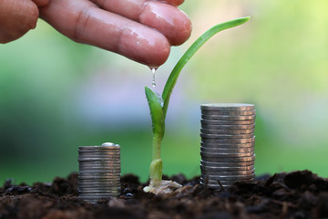 Hands are flavoring water, water droplets, or maintenance grounds seedlings grow, On a nature a blurred background.