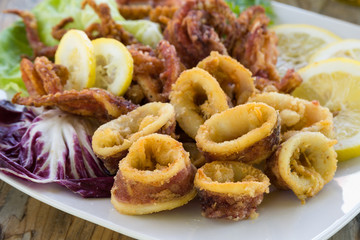 Calamari fritti, deep fried squid, Italian Cuisine