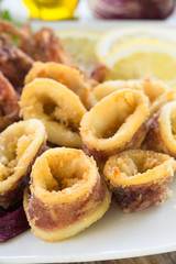 Calamari fritti, deep fried squid, Italian Cuisine