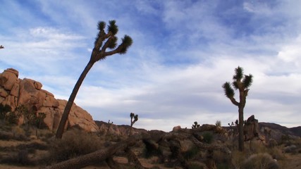 Time lapse footage of high desert landscape at Joshua Tree National Park in California