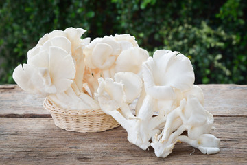 Oyster mushroom on wooden table