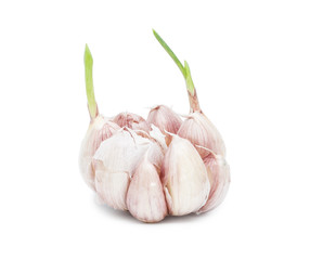 Garlic. - 85910527