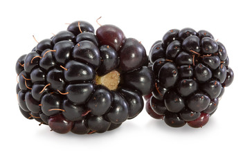 Blackberries. - 85910531