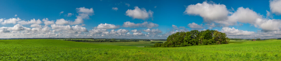 Summer landscape panorama.