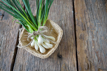 Pile of fresh spring onion on table