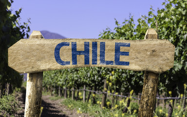Chile wooden sign with winery background