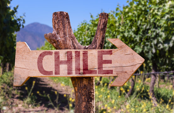Chile wooden sign with winery background