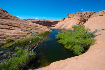 Small lake oasis in the desert Escalante National