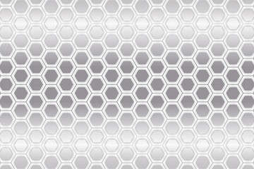 正六角形,ハニカム構造,網状,網目状,網の目,編み目状,フェンス,ワイヤーネット,金網,金属ネット,