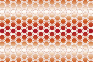 正六角形,ハニカム構造,網状,網目状,網の目,編み目状,フェンス,ワイヤーネット,金網,金属ネット,