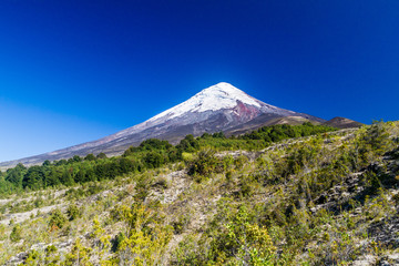 Fototapeta premium Osorno volcano, Chile