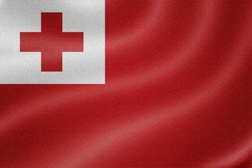 Tonga flag on the fabric texture background