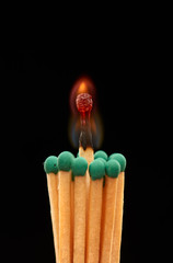 Group of green wooden matches with burning match in centre