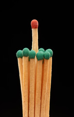 Group of green wooden matches with red match in centre