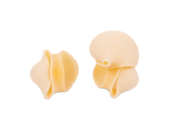 Close up of Italian pasta shells. 