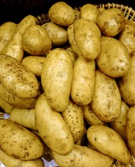 Organic potatoes in a shelf / Close up image