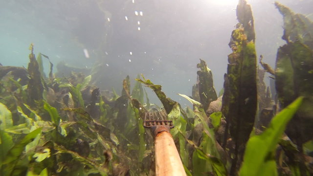 Thai moken hunting underwater 
