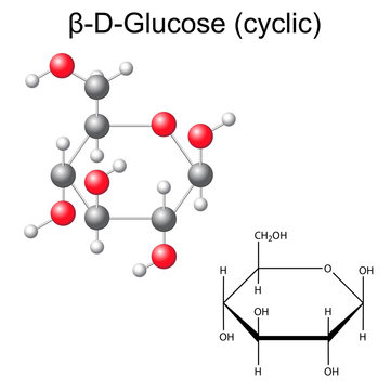 Structural chemical formula and model of beta-D-glucose