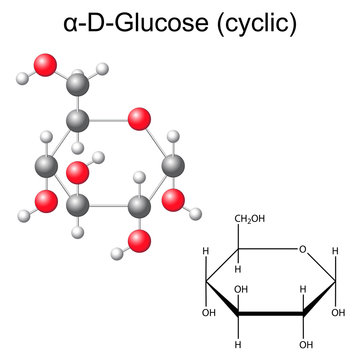Structural chemical formula and model of glucose