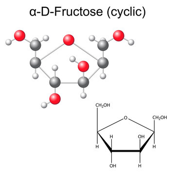 Structural chemical formula and model of fructose