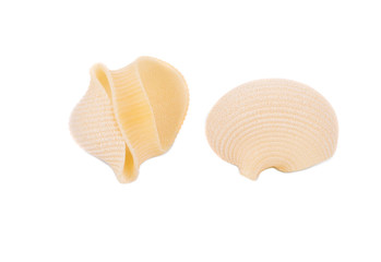 Two uncooked pasta lumaconi.