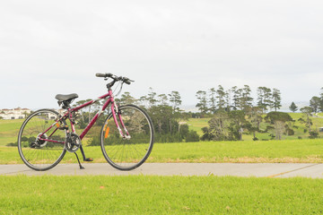 Obraz premium bike, bench and the view from the hill, Whangaparaoa, around Auckland, New Zealand