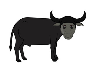 Cartoon Buffalo