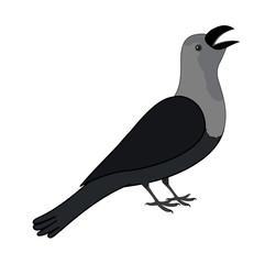 Cartoon Crow Clipart
