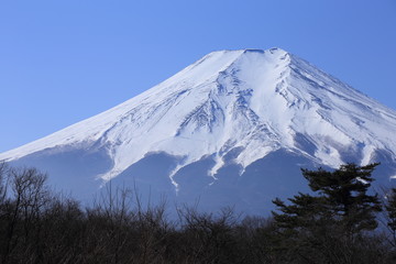 Fujiyama in Japan