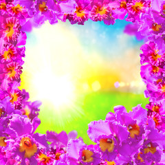 Frame of Beauty Pink Orchids