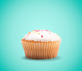 Cupcake isolated on blue background