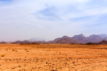 Fototapeta na wymiar Lifeless hot desert