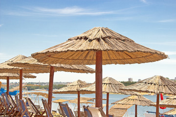 Rows of reed umbrellas and deck chair on beach