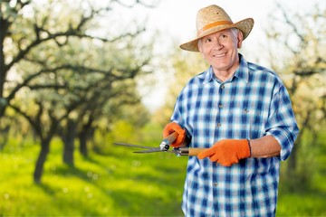 Gardening, Senior Adult, Men.