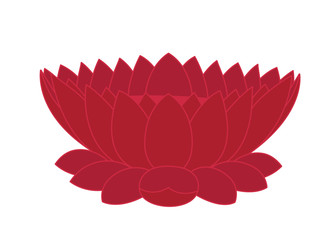 Lotus Flower Design