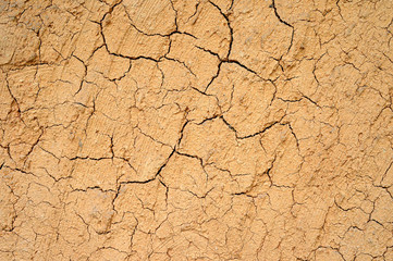 Cracked wall