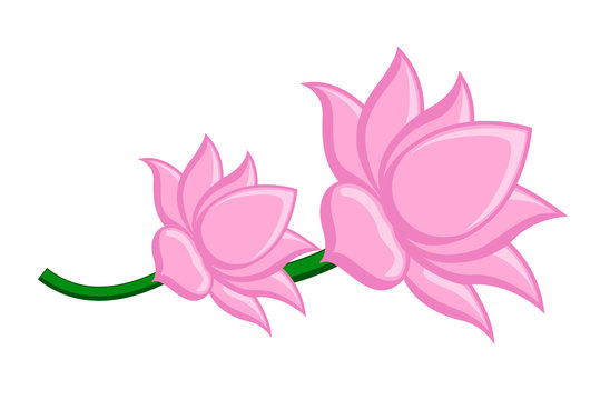 Lotus Flowers Vector Clipart