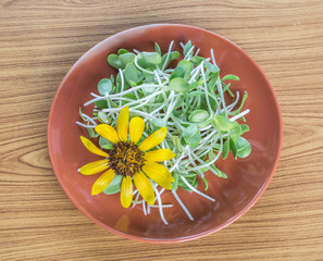 sunflower and sprouts on a brwon plate, wooden background