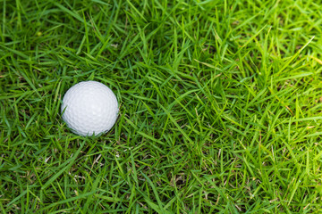 Golf ball on green grass