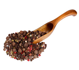 Mix of dried peppers in the wooden spoon, isolated on white back